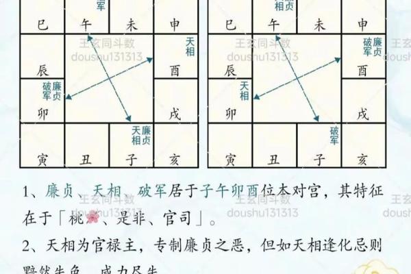 紫微斗数诸星落诸宫之：廉贞星兄弟宫详解
