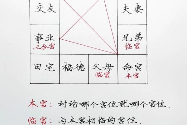 老鼠紫微斗数全书共几卷 老鼠 紫菀？