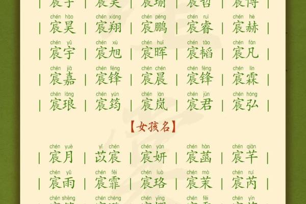 属兔酉时出生的男孩起名适合用什么字姓名