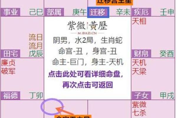 紫薇斗数紫薇入命宫