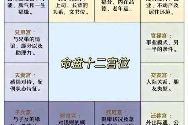 紫薇斗数体用宫