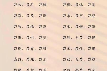 2019年3月12号子时出生的男孩应该起什么样的名字姓名