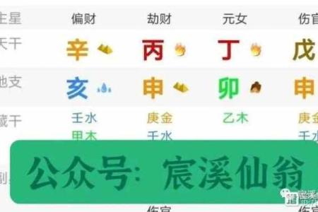 丁在八字