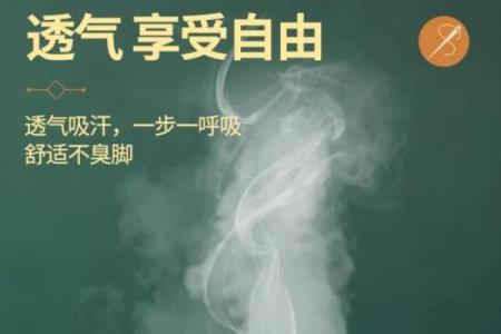 袜子风水行大运、除小人、旺财