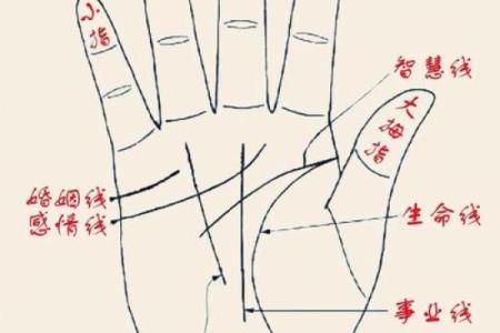 图解：手相障碍线算命