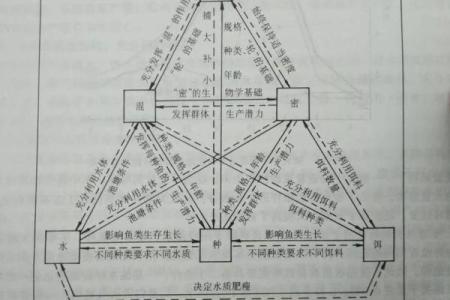 成鱼饲养“八字精养法”