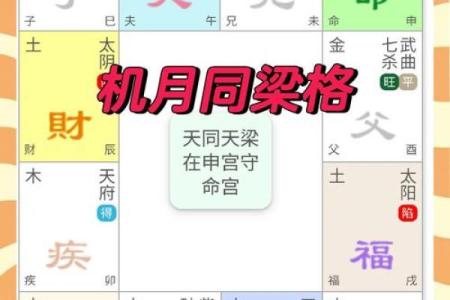 紫薇斗数命宫天梁