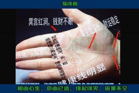 手纹算命图解 财富手纹解读