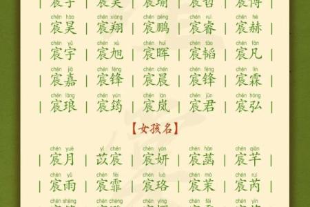 属兔酉时出生的男孩起名适合用什么字姓名