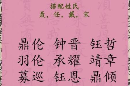 2019年6月20号丑时出生的男孩起名方法姓名