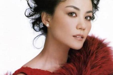 王菲2009八字分析及运势预测