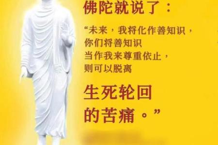 算命的说有难就做