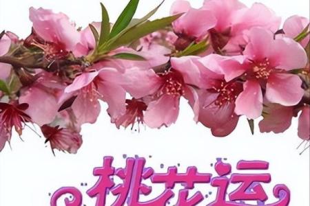 婚恋风水：这些布局容易招桃花