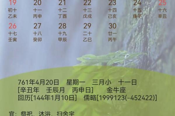 铁板神算命盘免费算命
