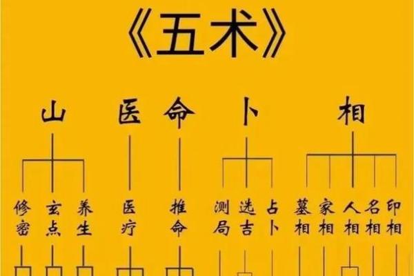 紫微斗数正统 紫微斗数!？