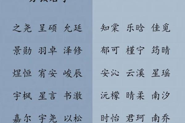 2019年3月11号子时出生的男孩要怎么起名字姓名