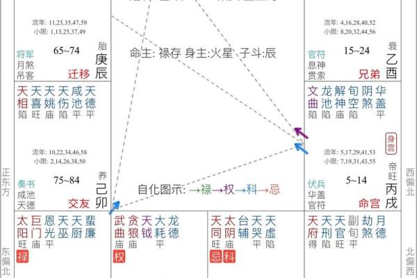 紫微斗数简说紫薇