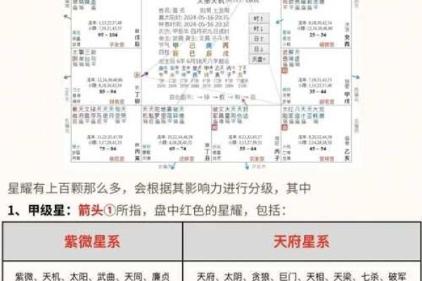 紫微斗数简说紫薇