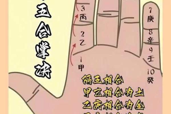 紫薇斗数掌决