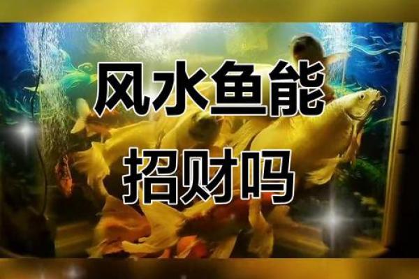 风水真的管用吗？