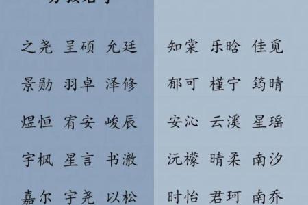 2019年3月11号子时出生的男孩要怎么起名字姓名