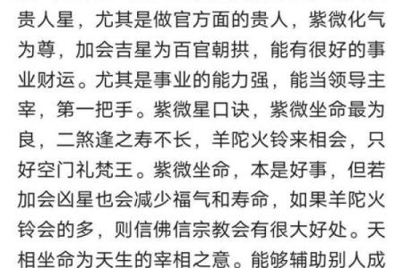 紫微斗数之事业宫与诸星，武曲星在事业宫是什么意思？