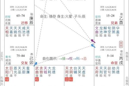 紫微斗数简说紫薇