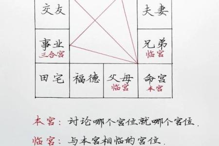 紫薇圣人紫薇斗数的简单介绍