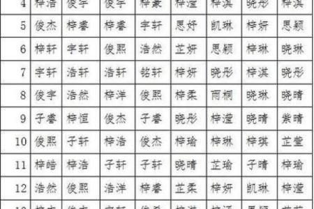 2019年4月24号子时出生的男孩要怎么起名字姓名