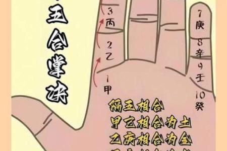紫薇斗数掌决