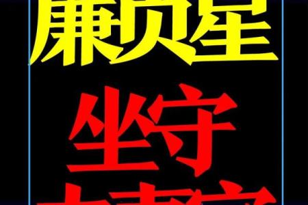 手机免费算命不求人