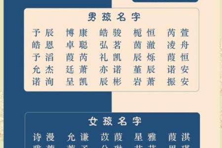 2019年4月29号卯时出生的男孩如何起名姓名