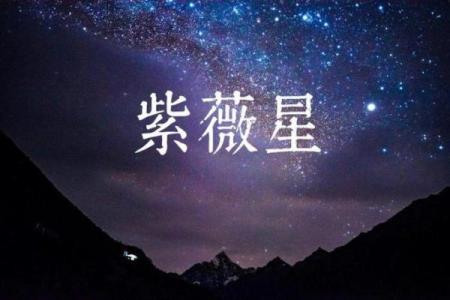 紫薇斗数的紫薇星