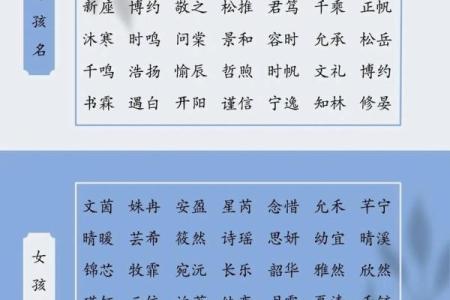 怎么样给晚上1点出生的属鸡男孩起名字合适姓名
