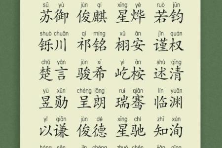 二月份出生属马的男孩该取什么名字姓名