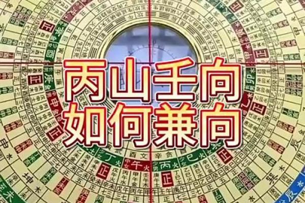 丙山壬向八运风水