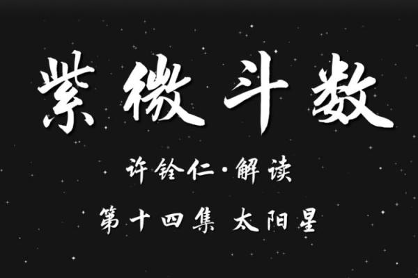 紫薇斗数传人