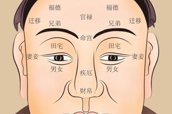 面相在线测试,在线扫一扫测面相