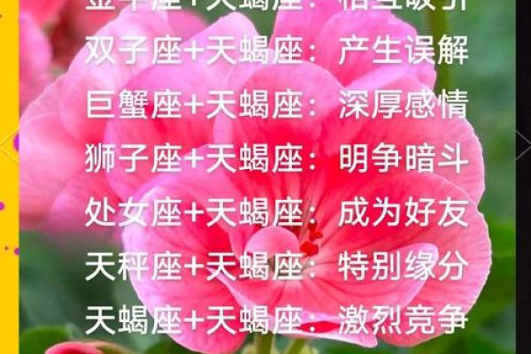 天蝎座最合不来的星座 天蝎座最合得来的星座