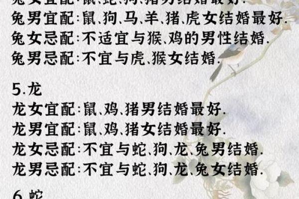 最佳的十二生肖婚姻配对大全