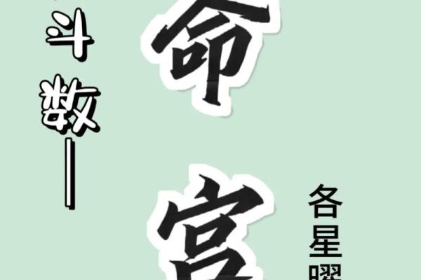 紫薇斗数ai
