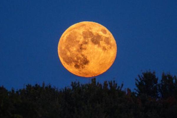 澳大利亚怎么看月亮星座