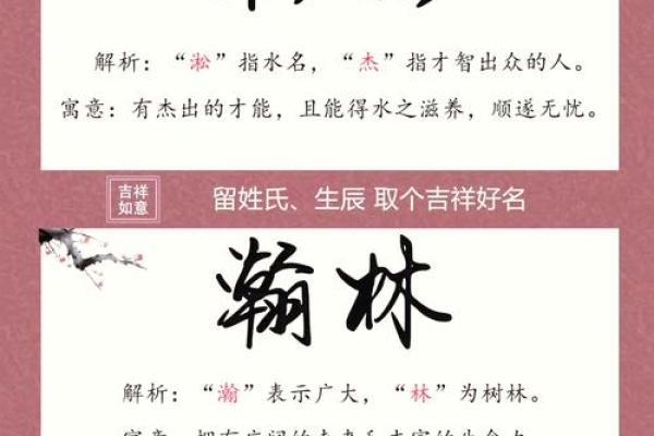 2019年处暑出生缺木男孩名字赏析姓名