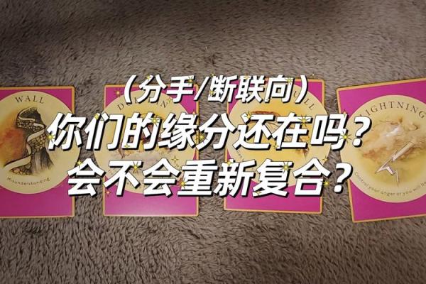 塔罗测试这一次你们还会复合吗 彻底缘分尽了吗