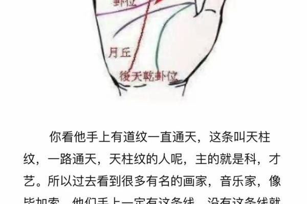 女性手掌纹算命图解婚姻