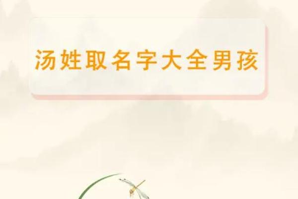 汤姓女孩名字大全-汤姓女孩起名字大全-汤姓名字大全姓名