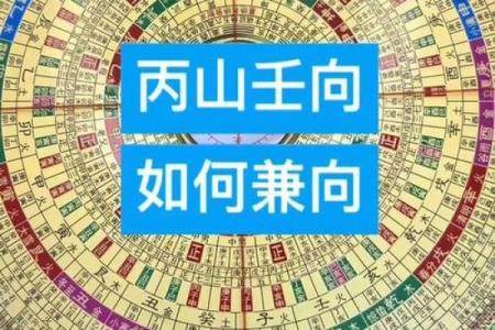 丙山壬向八运风水