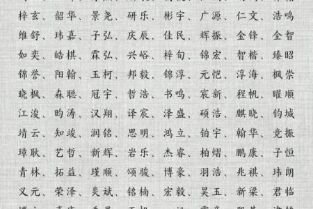 2019年5月7号子时出生的男孩如何起名姓名