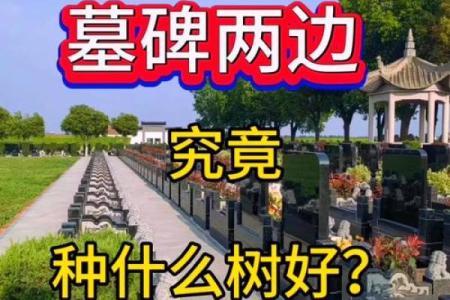 风水坟地有什么讲究