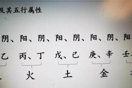 八字四阴四阳命理分析